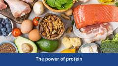 The power of protein