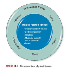 Health-Related Fitness, Skill-Related Fitness, & Manipulative Skills