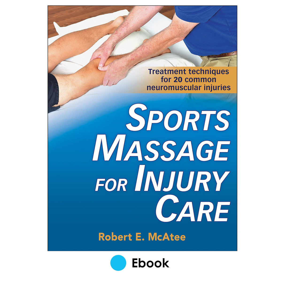 Sports Massage for Injury Care epub