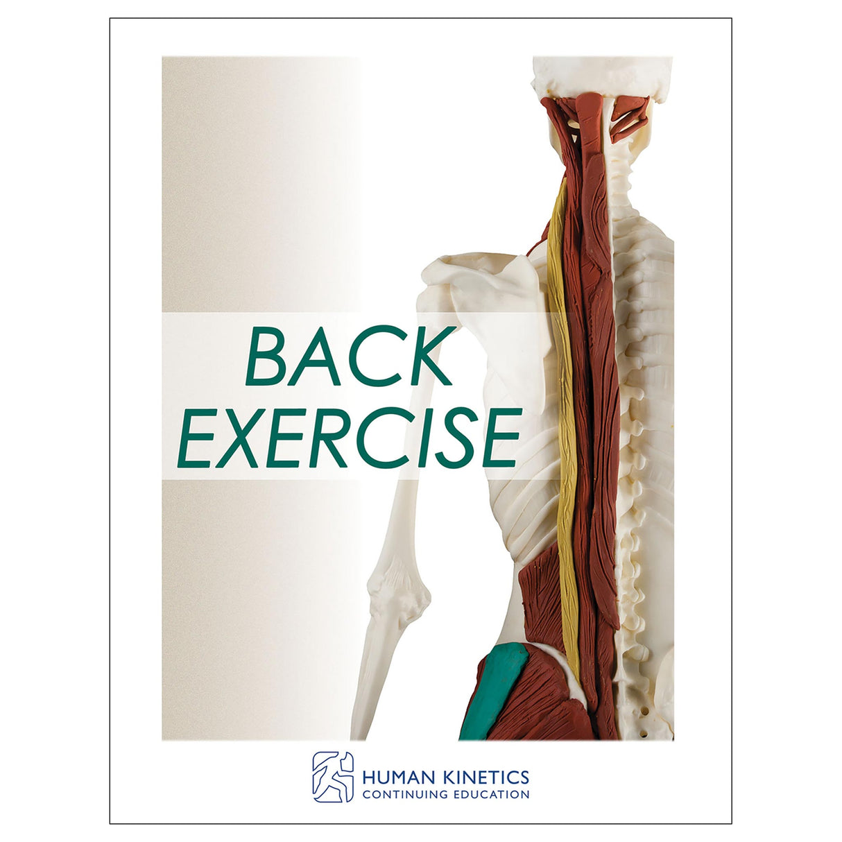 Back Exercise Online CE Exam With Print Book