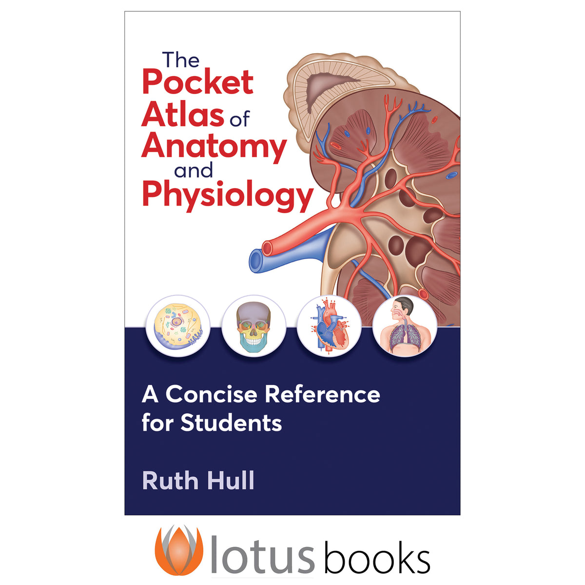 The Pocket Atlas of Anatomy and Physiology