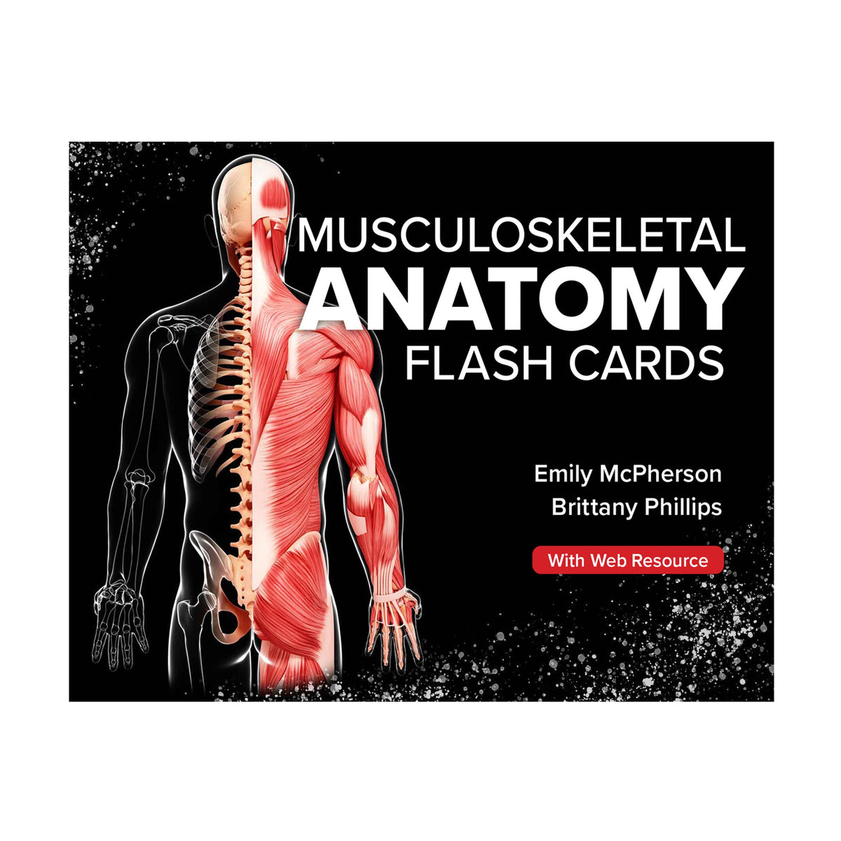 Musculoskeletal Anatomy Flash Cards