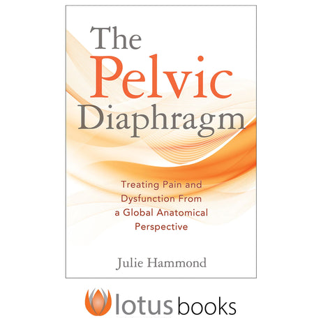 The Pelvic Diaphragm