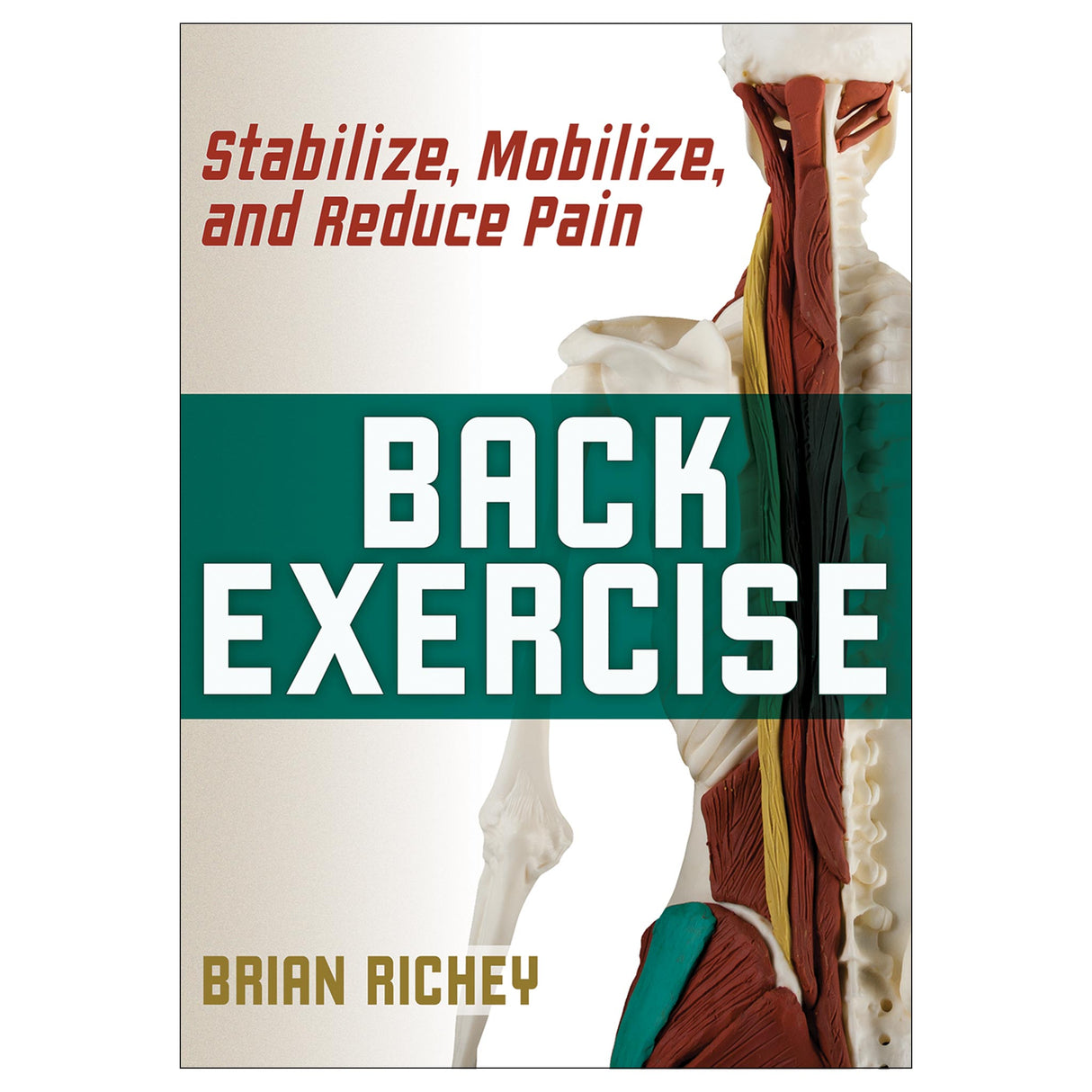 Back Exercise