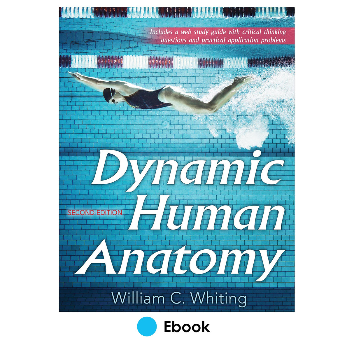 Dynamic Human Anatomy 2nd Edition epub With Web Study Guide