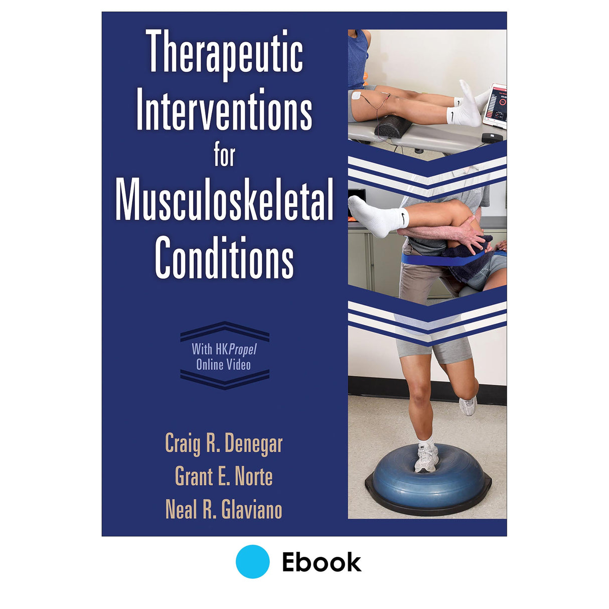Therapeutic Interventions for Musculoskeletal Conditions Ebook With HKPropel Online Video