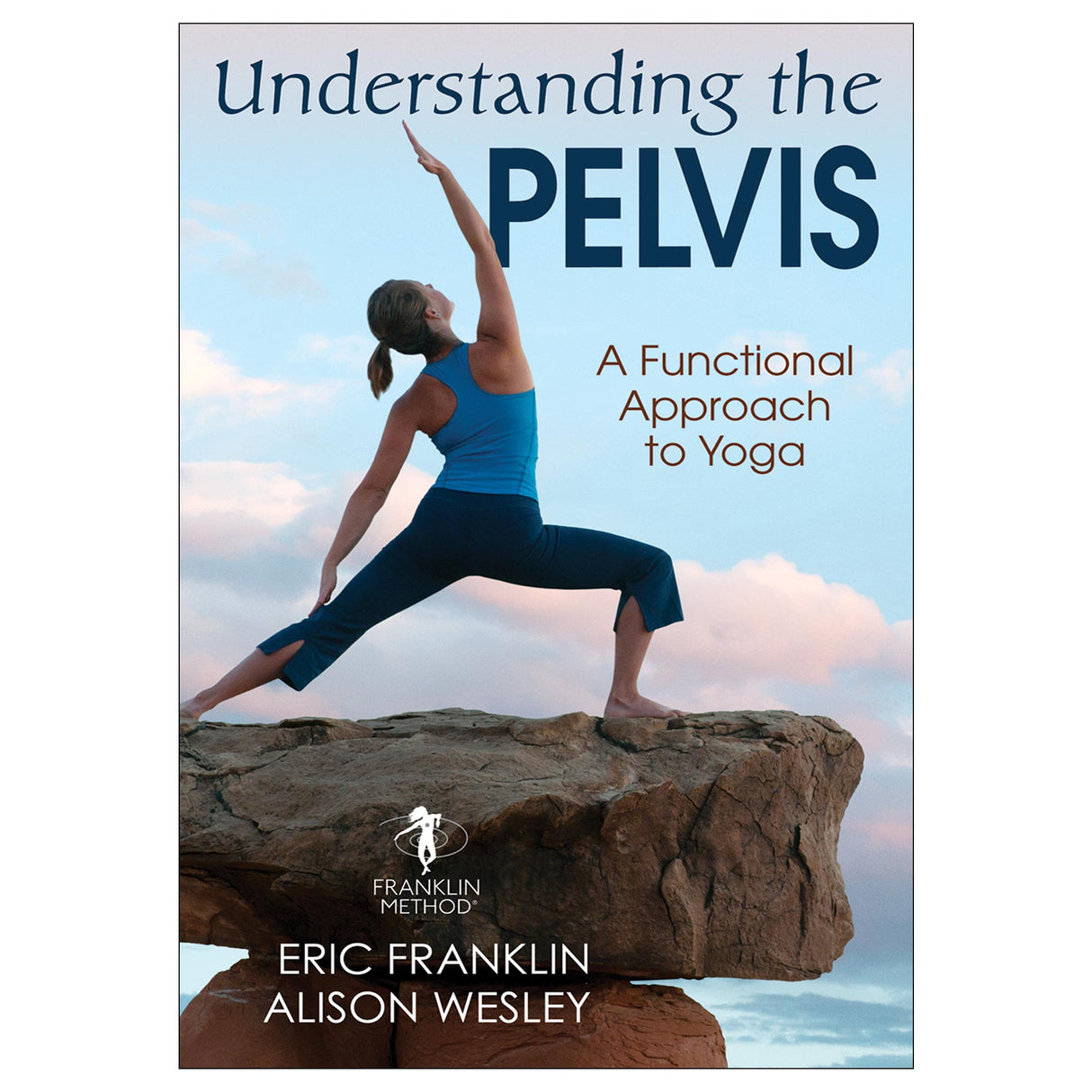 Understanding the Pelvis epub