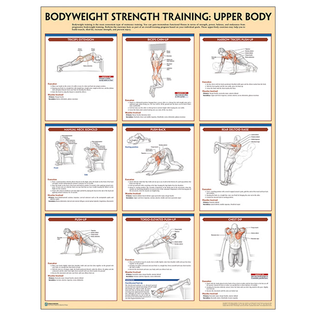 Bodyweight Strength Training Poster: Upper Body