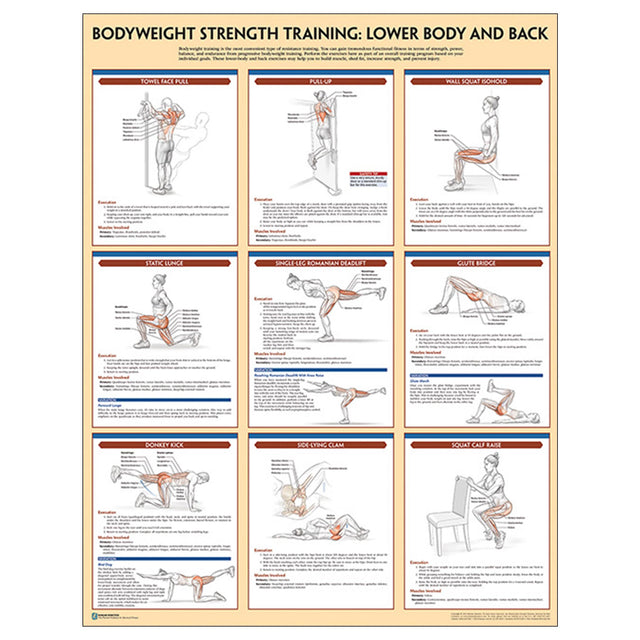 Bodyweight Strength Training Poster: Lower Body and Back