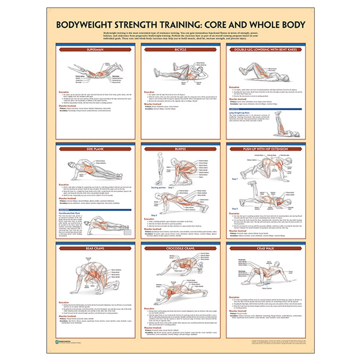 Bodyweight Strength Training Poster: Core and Whole Body