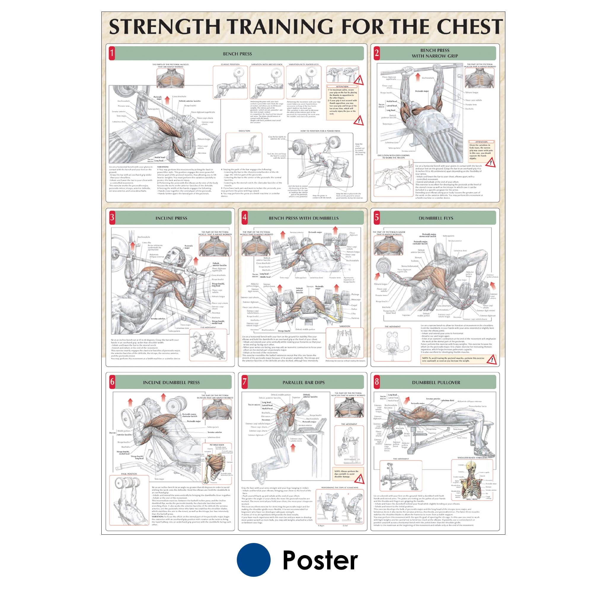 Chest routine for strength new arrivals