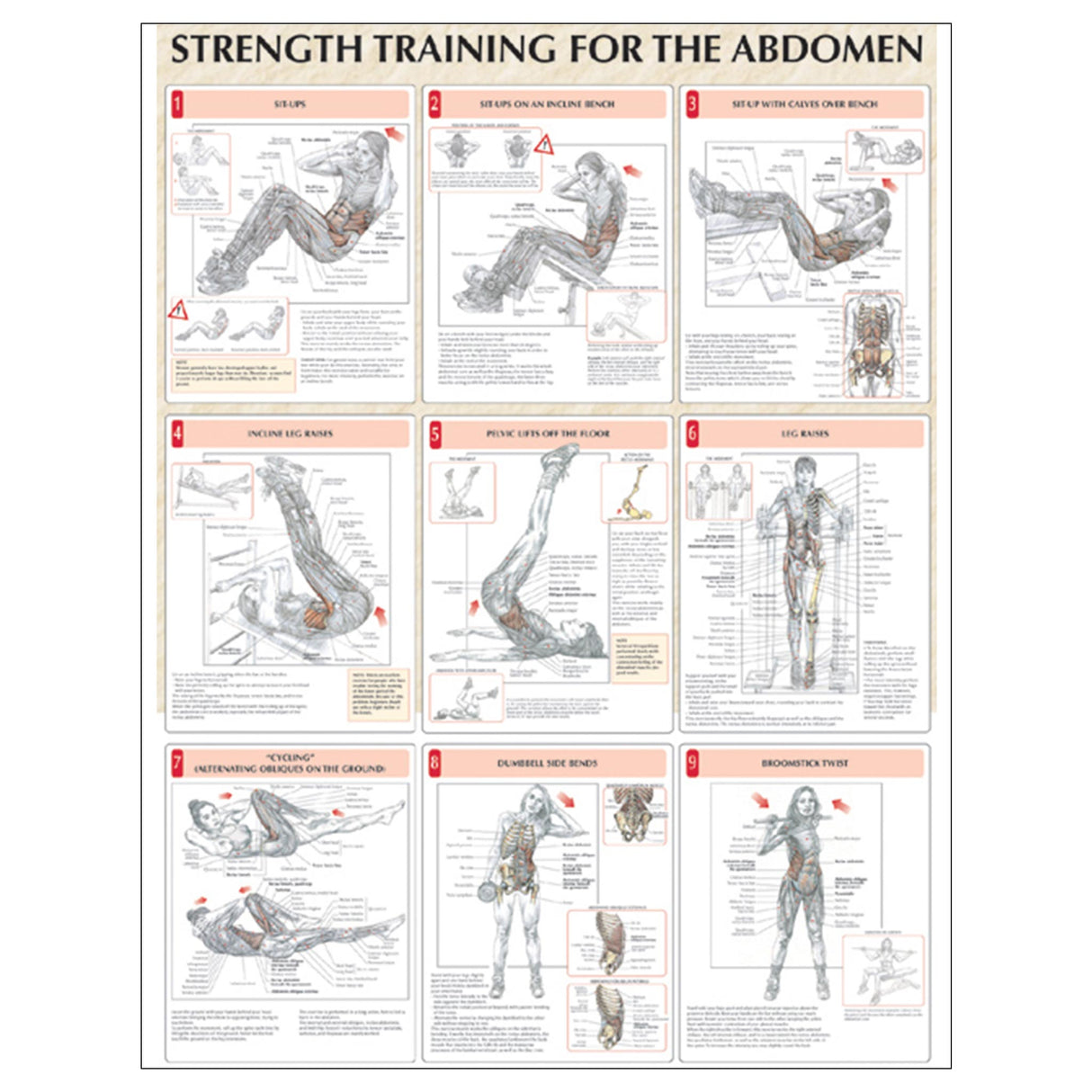 Strength Training for the Abdomen Poster