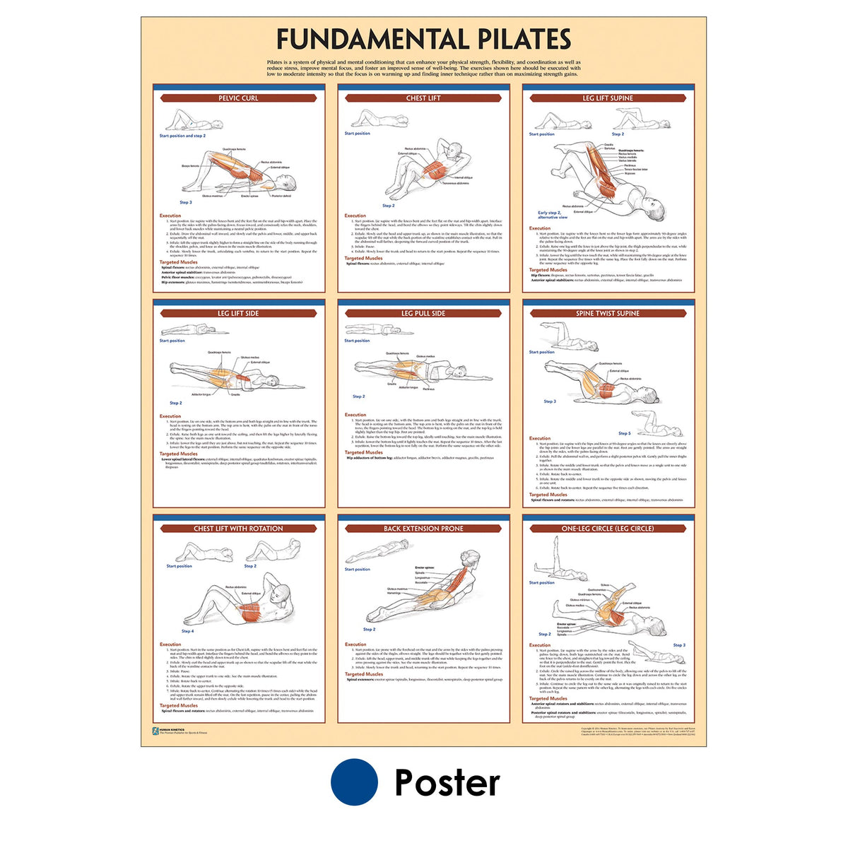 Fundamental Pilates Poster – Human Kinetics