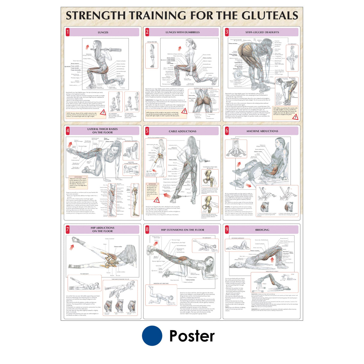 Strength Training for the Buttocks Poster