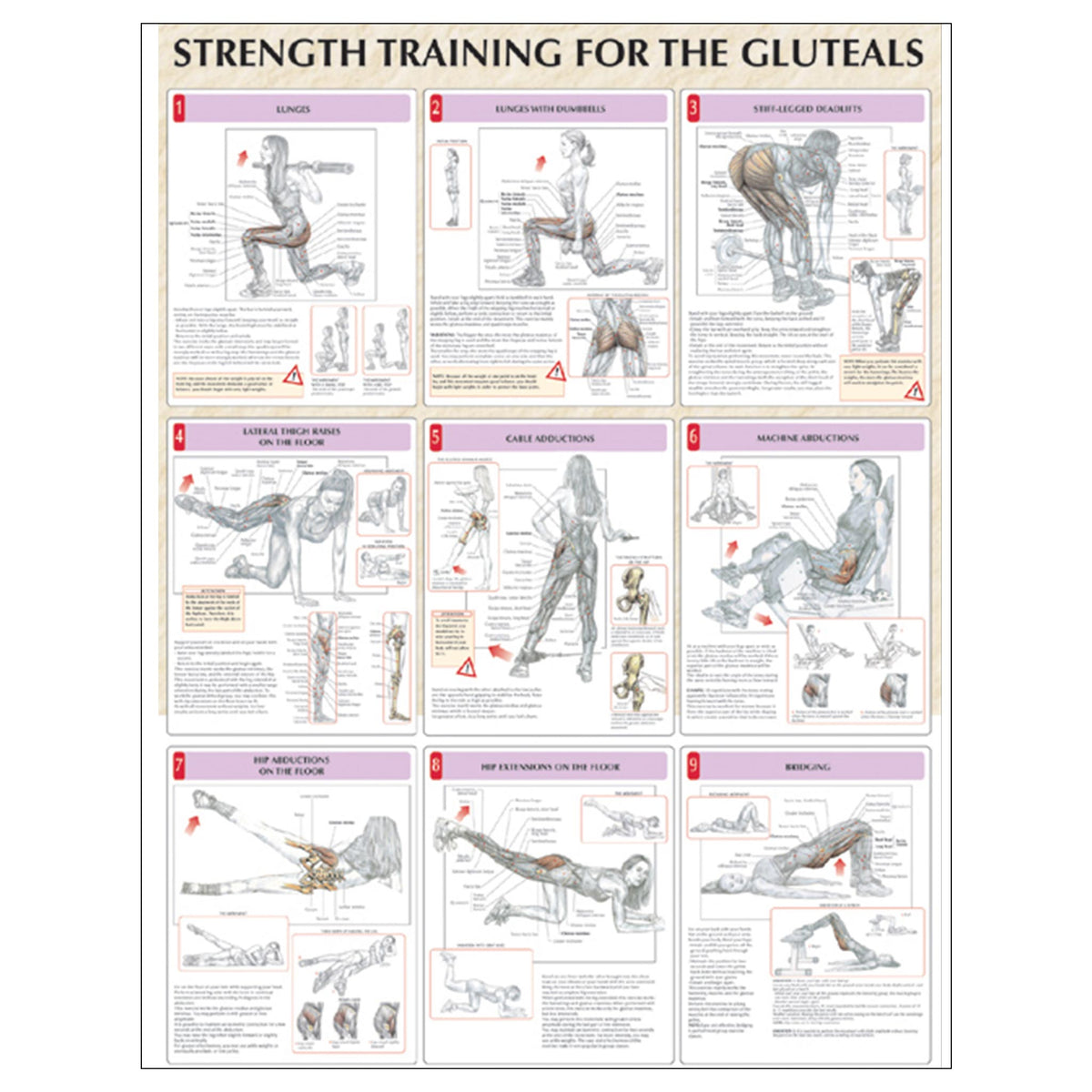 Strength Training for the Buttocks Poster