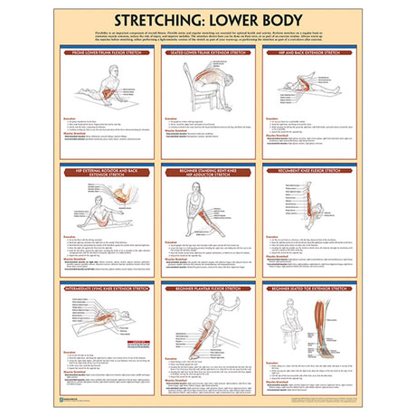 Stretching Poster: Lower Body