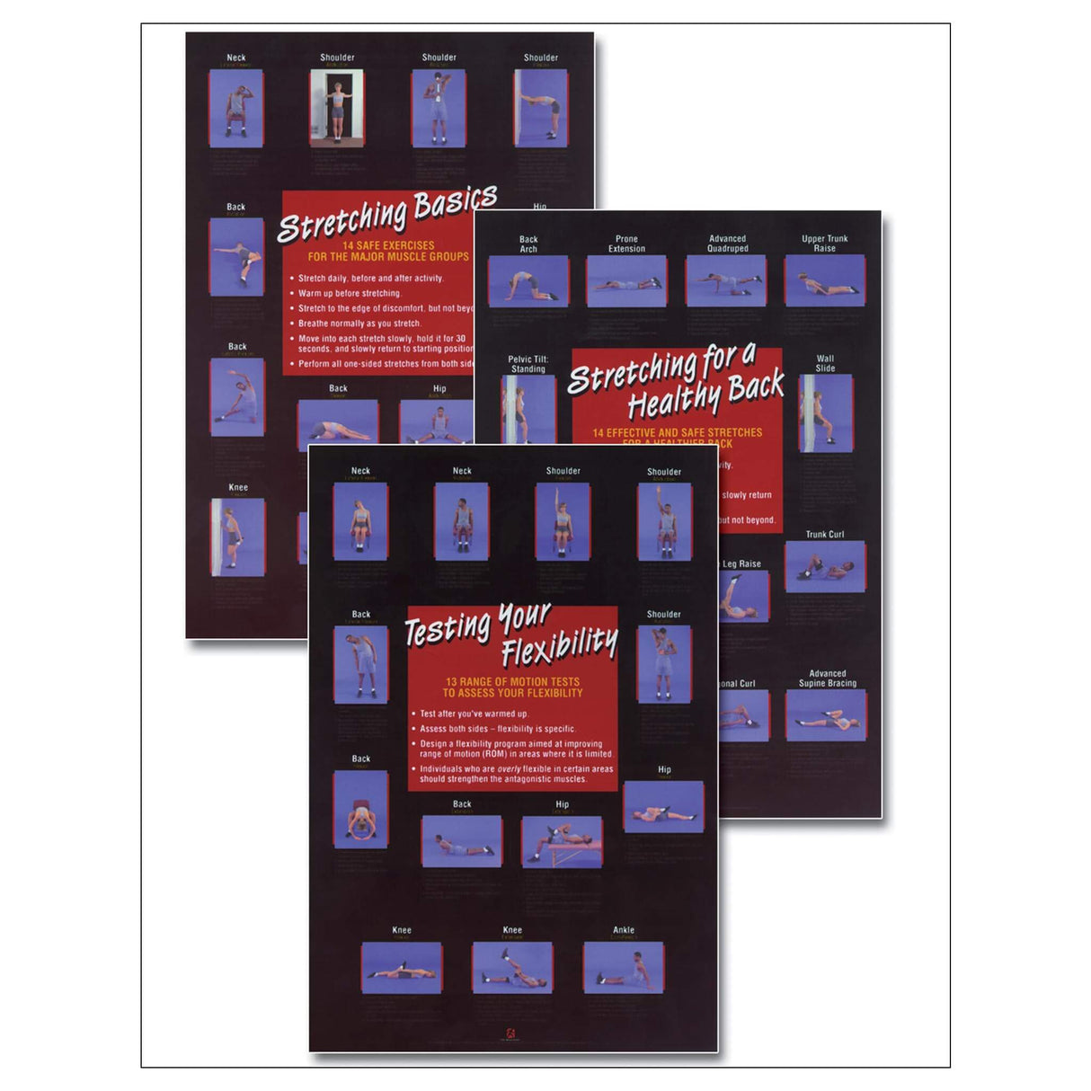 Stretching/Flexibility Posters Set