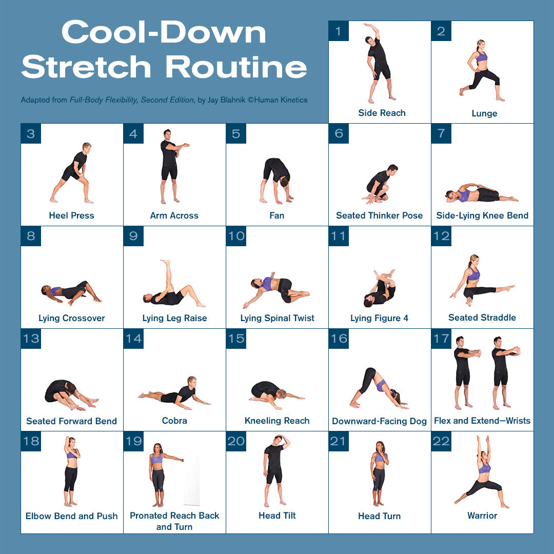 Cool down stretch routine Human Kinetics