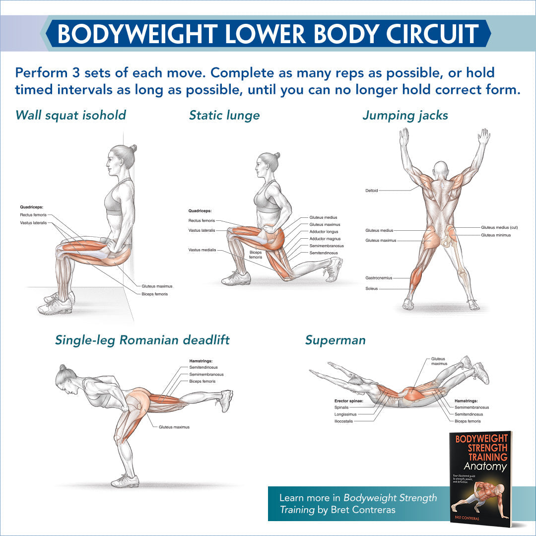 Bodyweight Lower Body Circuit – Human Kinetics