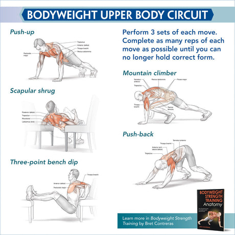 Bodyweight Upper Body Circuit