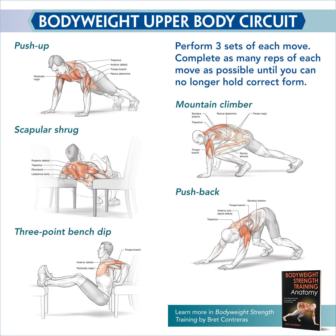 Bodyweight Upper Body Circuit – Human Kinetics
