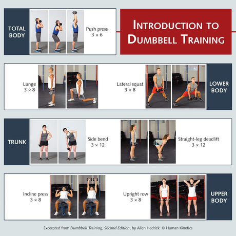 Introduction to dumbbell training