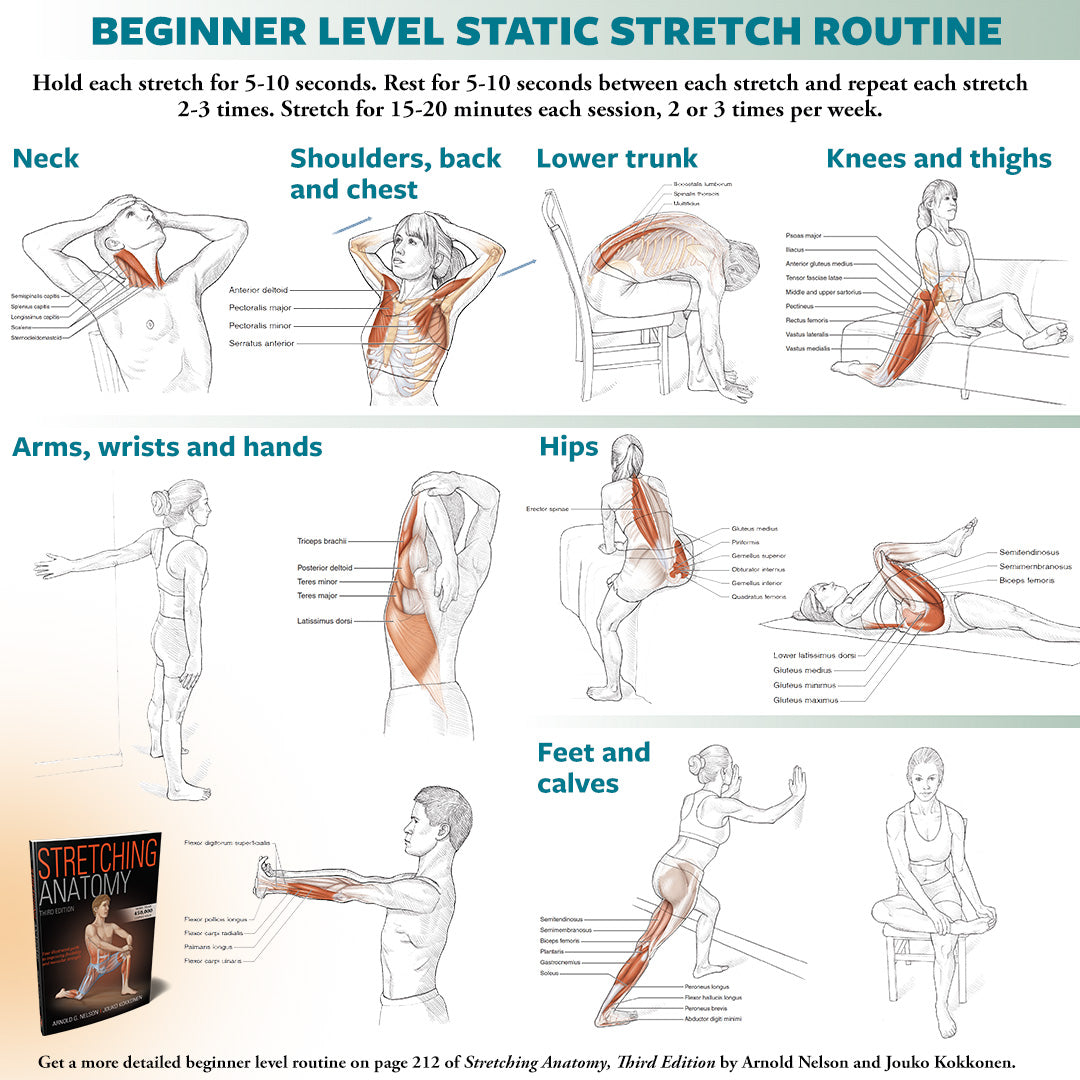 5 min stretching discount routine