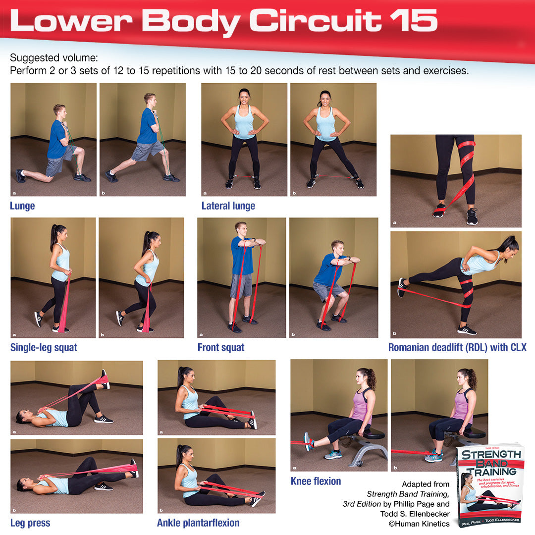 circuit exercises