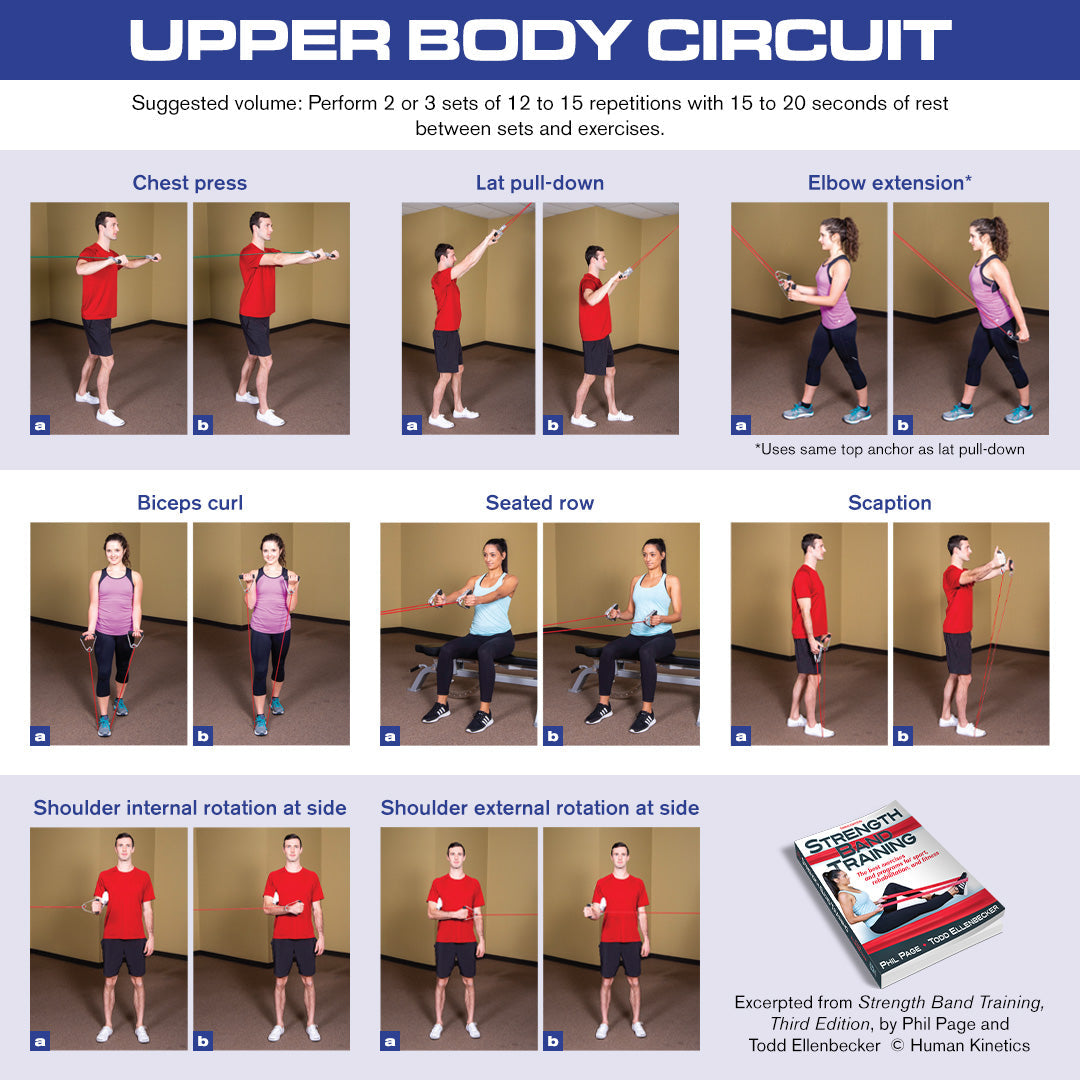 Upper Body Strength Band Circuit Workout Human Kinetics