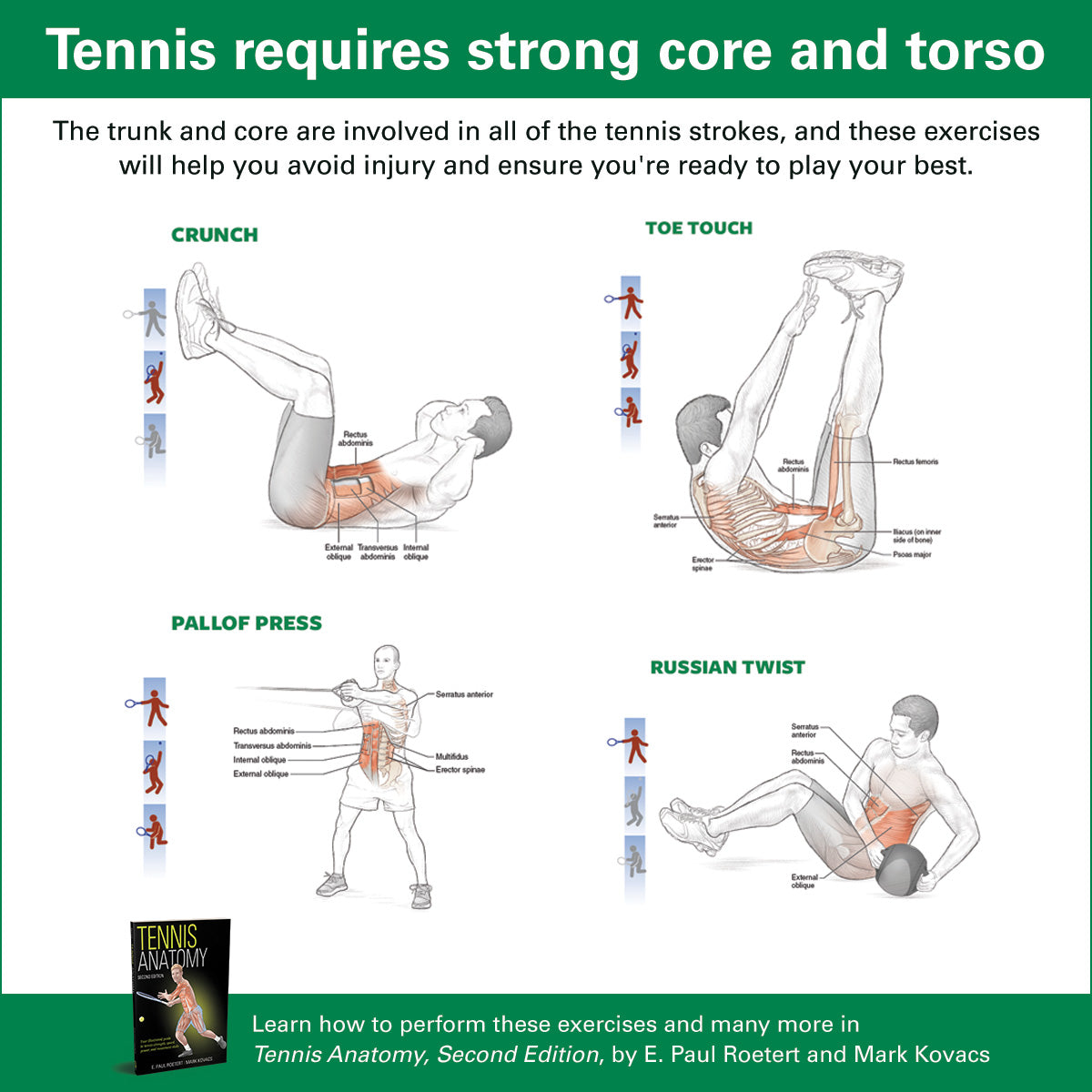 STRENGTHEN THE CORE AND TORSO – Human Kinetics