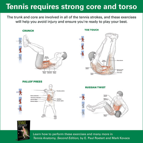 STRENGTHEN THE CORE AND TORSO