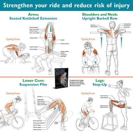 STRENGTHEN ARMS, SHOULDERS, CORE, AND NECK TO STRENGTHEN YOUR RIDE