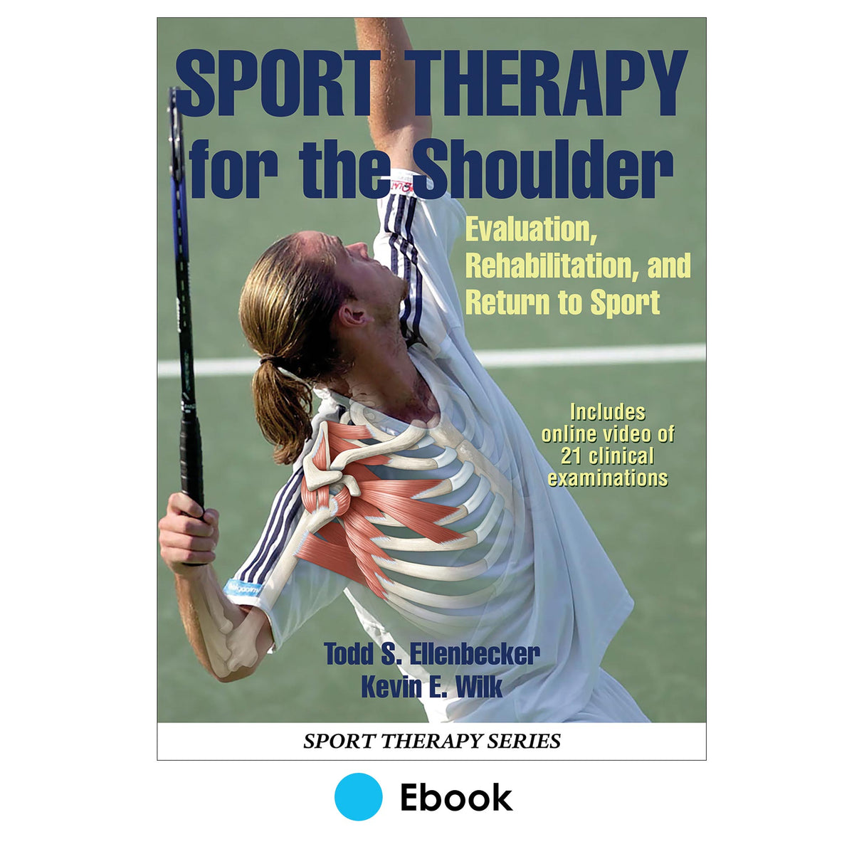 Sport Therapy for the Shoulder PDF With Online Video