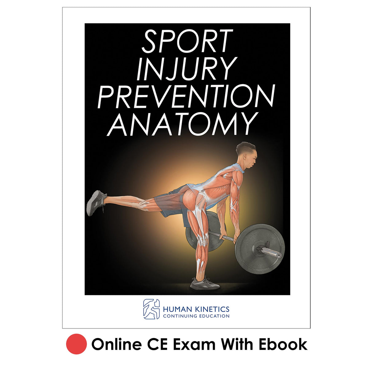 Sport Injury Prevention Anatomy Online CE Exam With Ebook