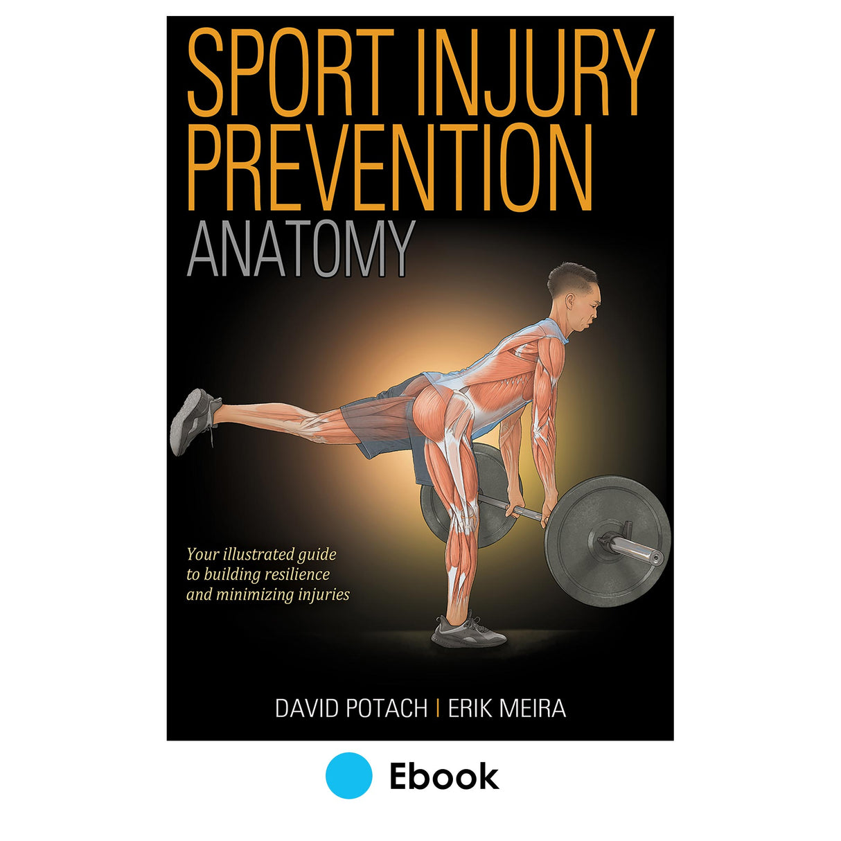 Sport Injury Prevention Anatomy epub