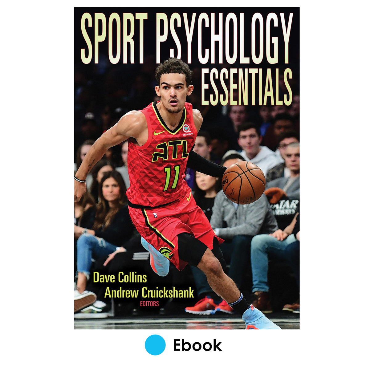Sport Psychology Essentials epub