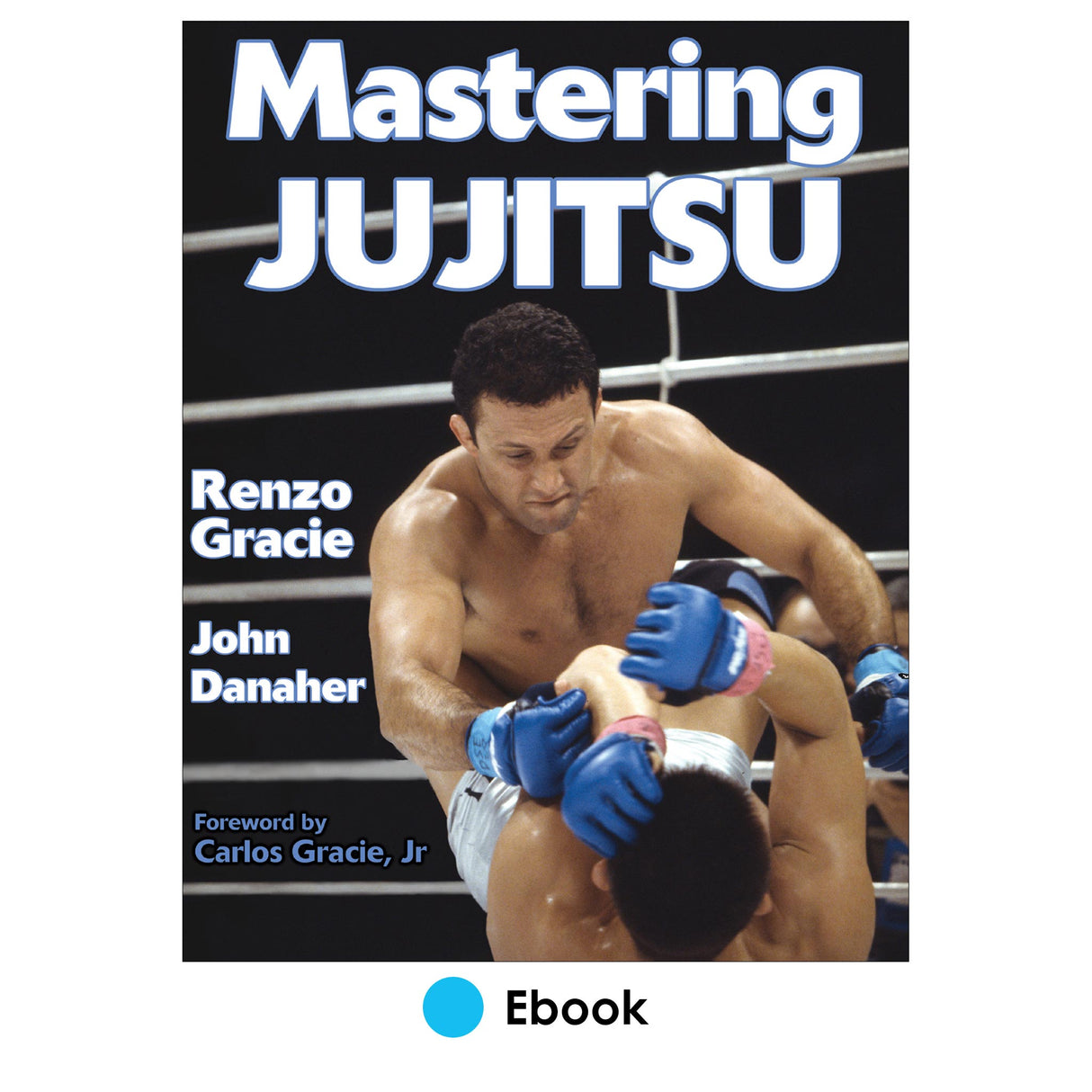 Mastering Jujitsu PDF