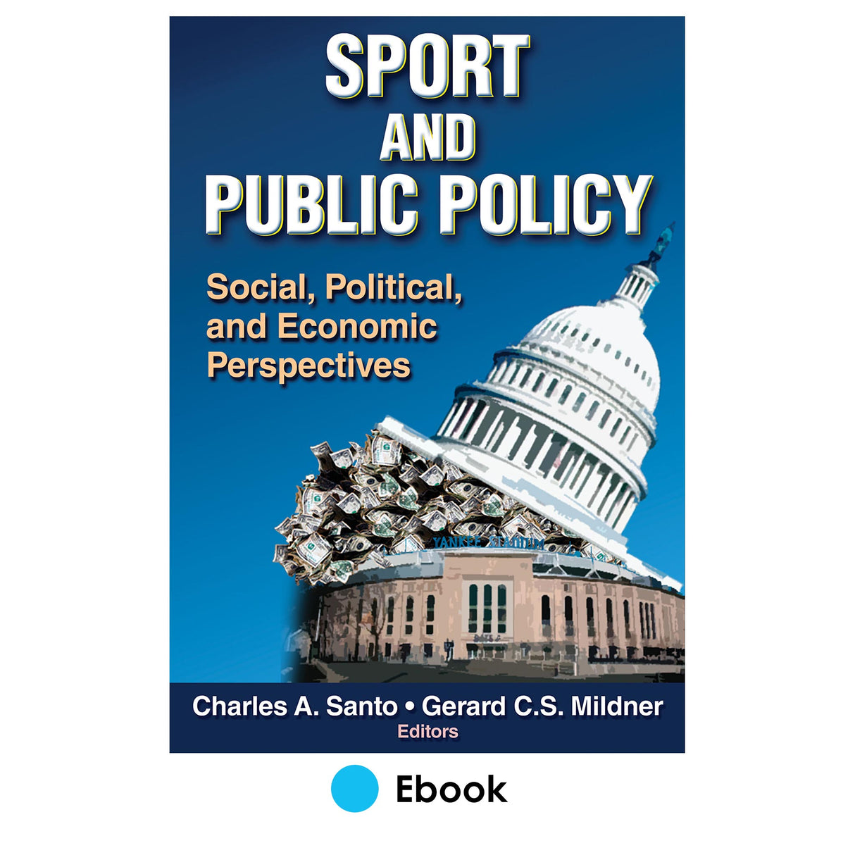 Sport and Public Policy PDF