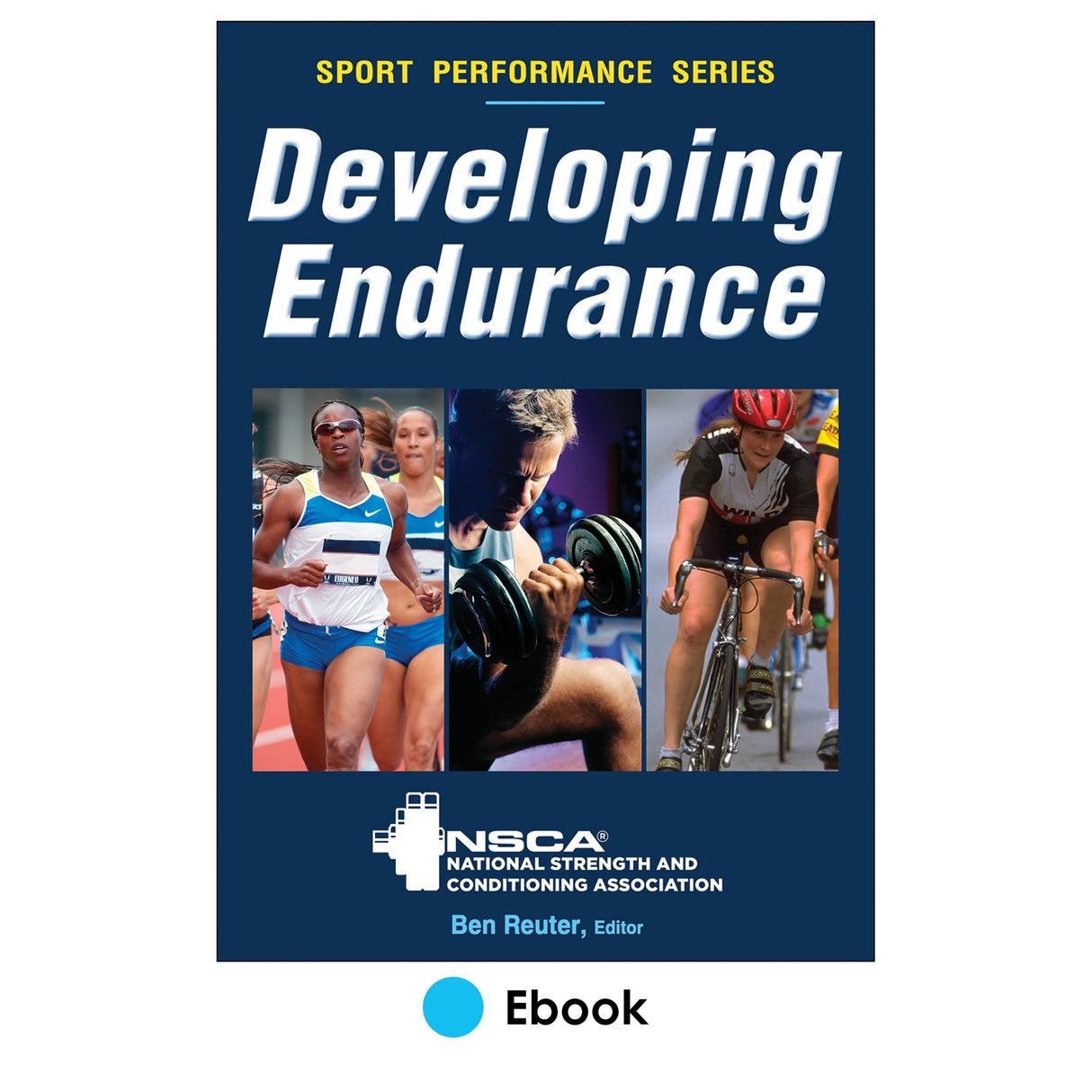 Developing Endurance PDF