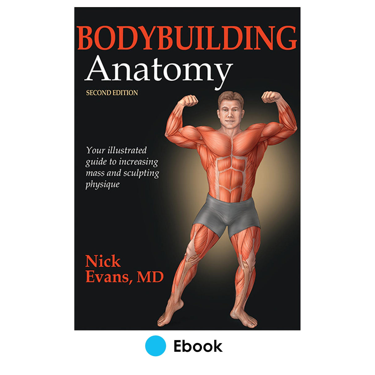 Bodybuilding Anatomy 2nd Edition PDF