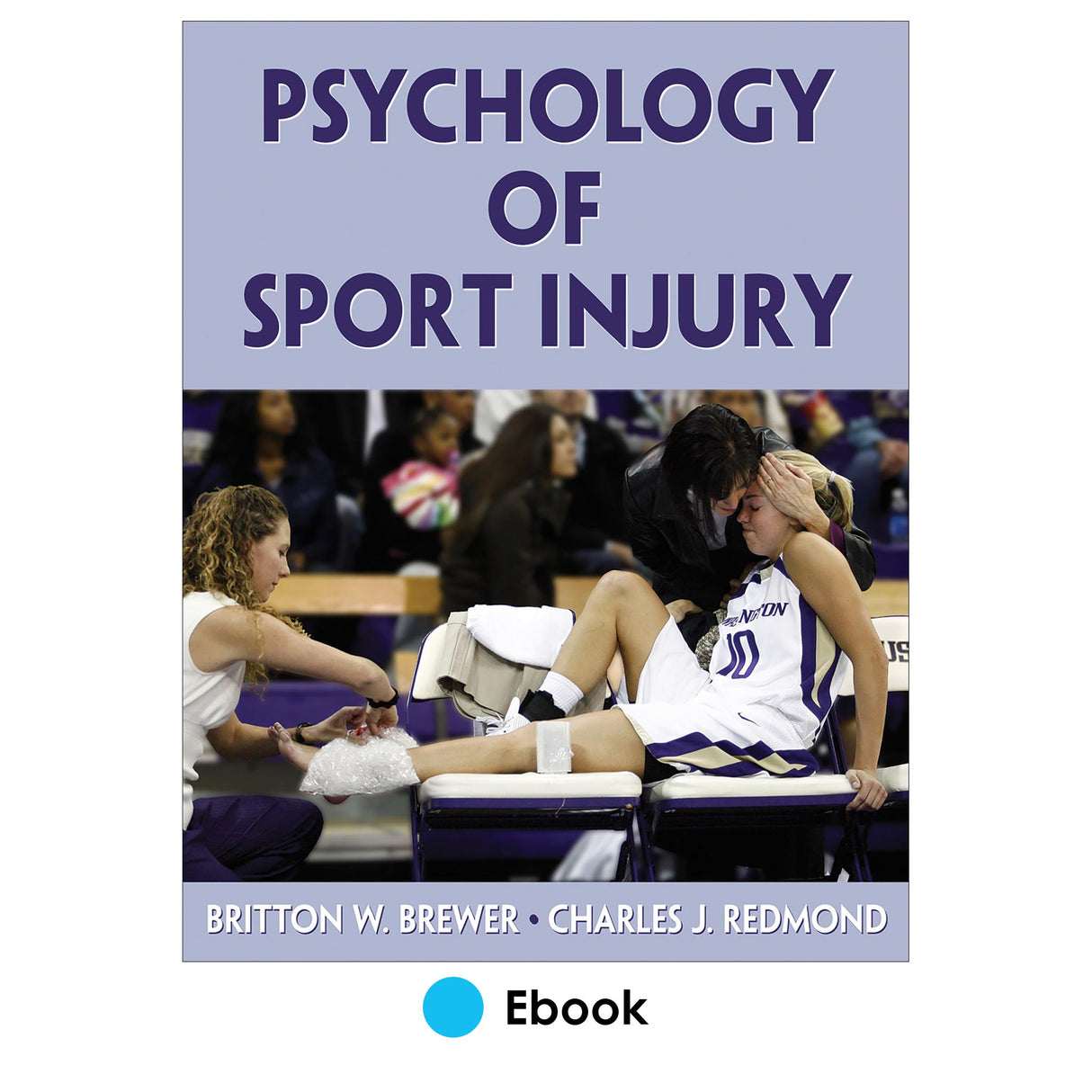 Psychology of Sport Injury PDF