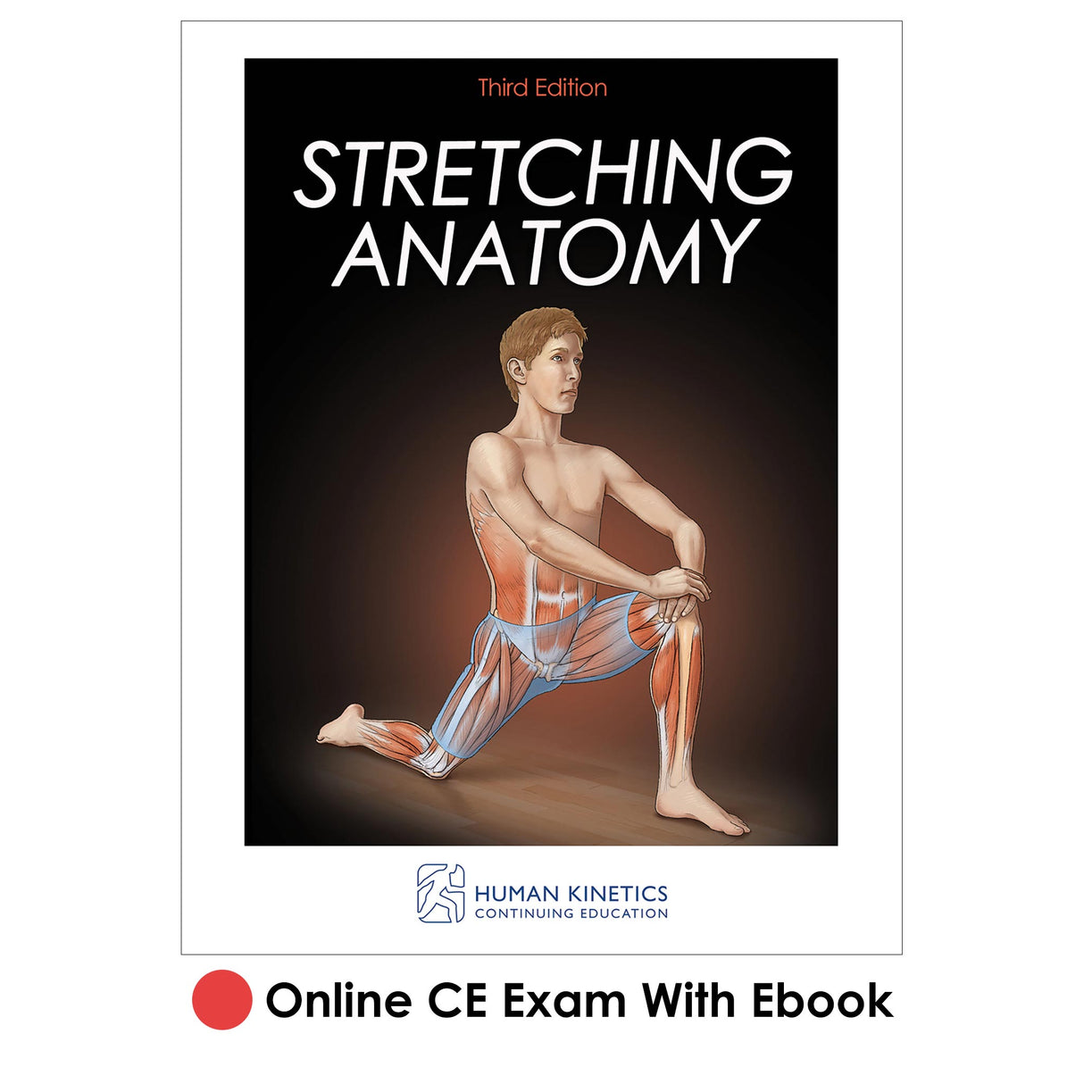 Stretching Anatomy 3rd Edition Online CE Exam With Ebook