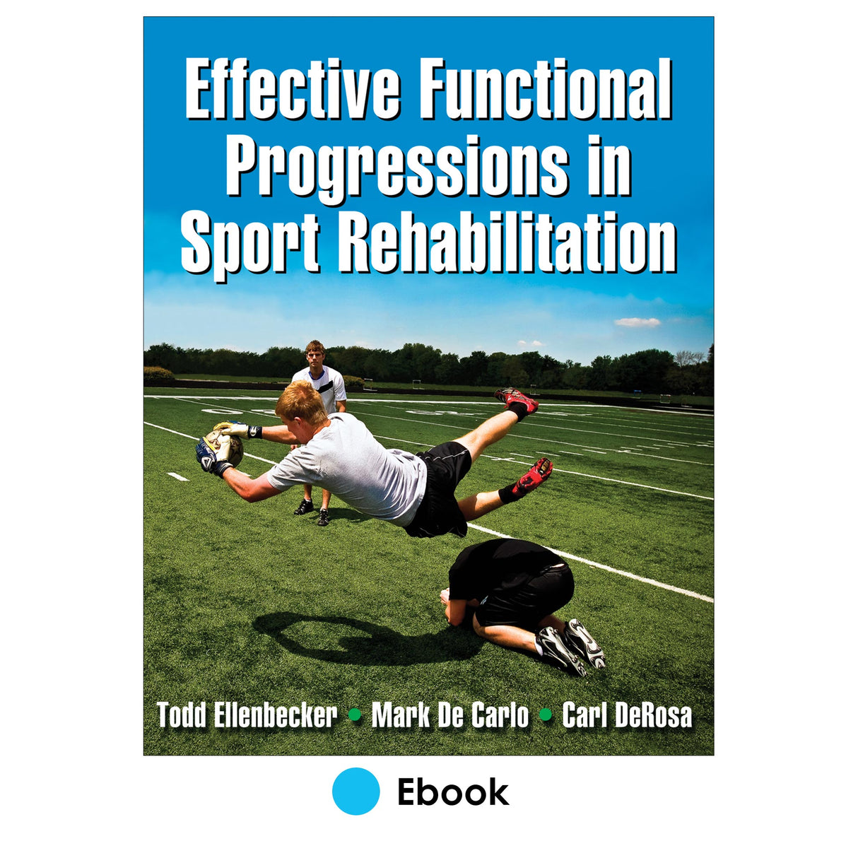Effective Functional Progression in Sport Rehabilitation PDF