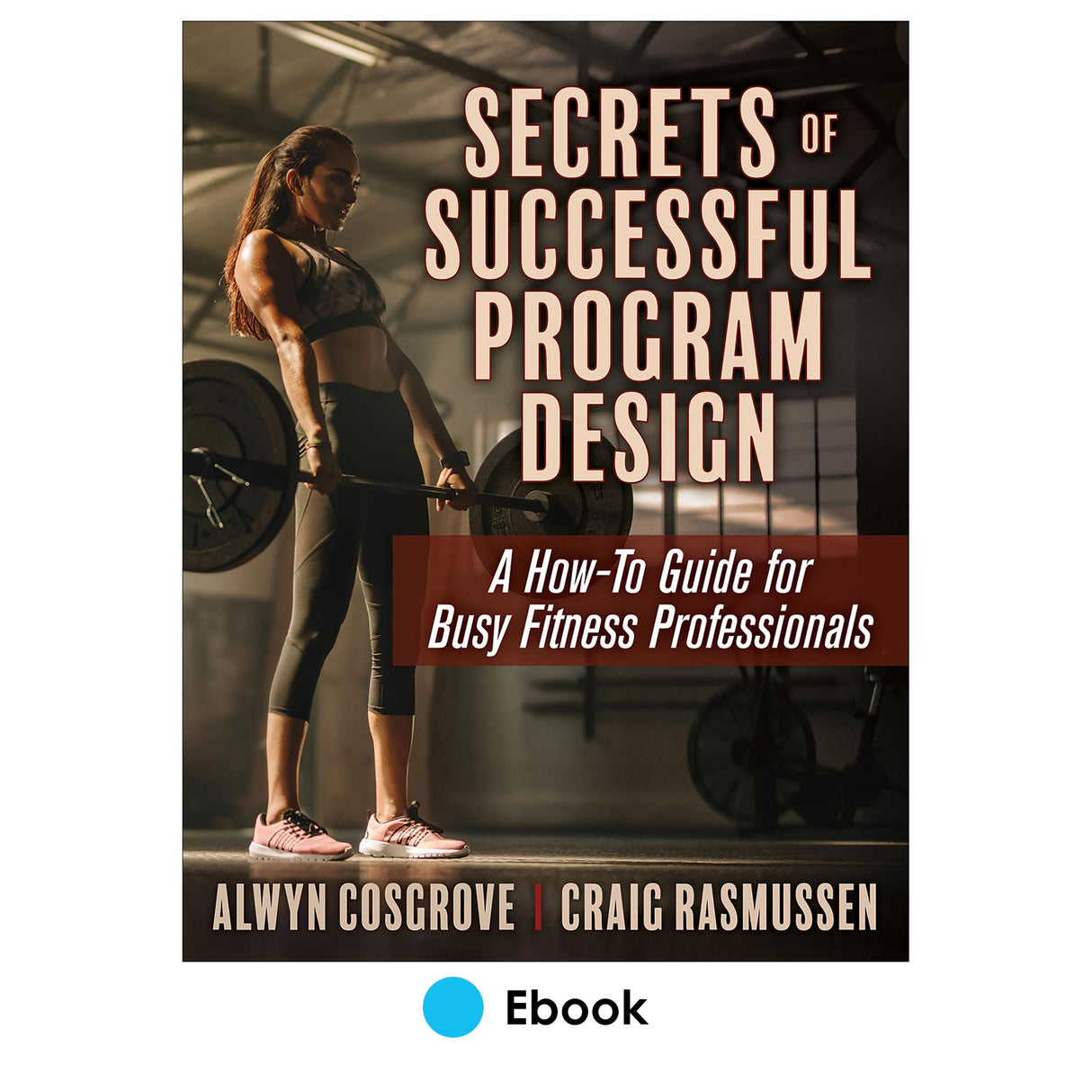 Secrets of Successful Program Design epub