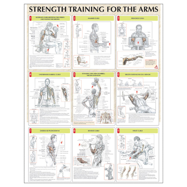 Strength Training for the Arms Poster
