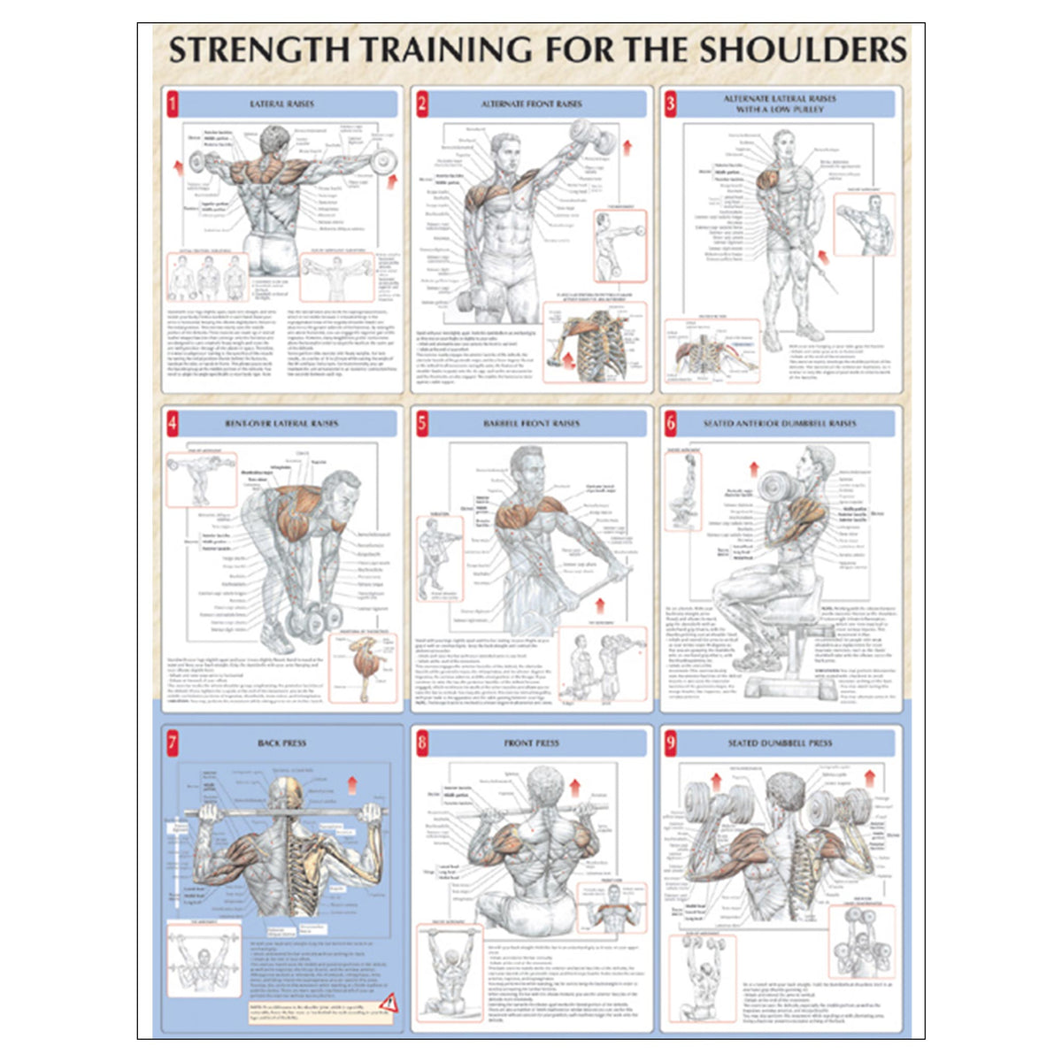 Strength Training for Shoulders Poster