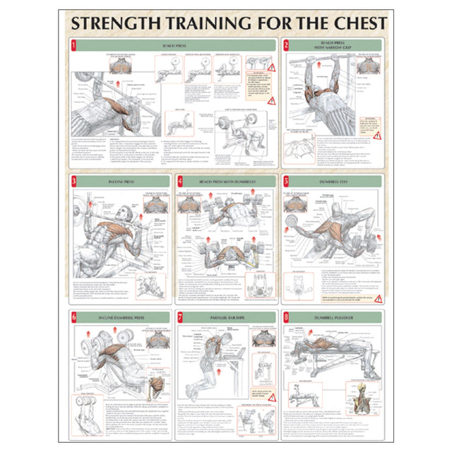 Strength Training for the Chest Poster