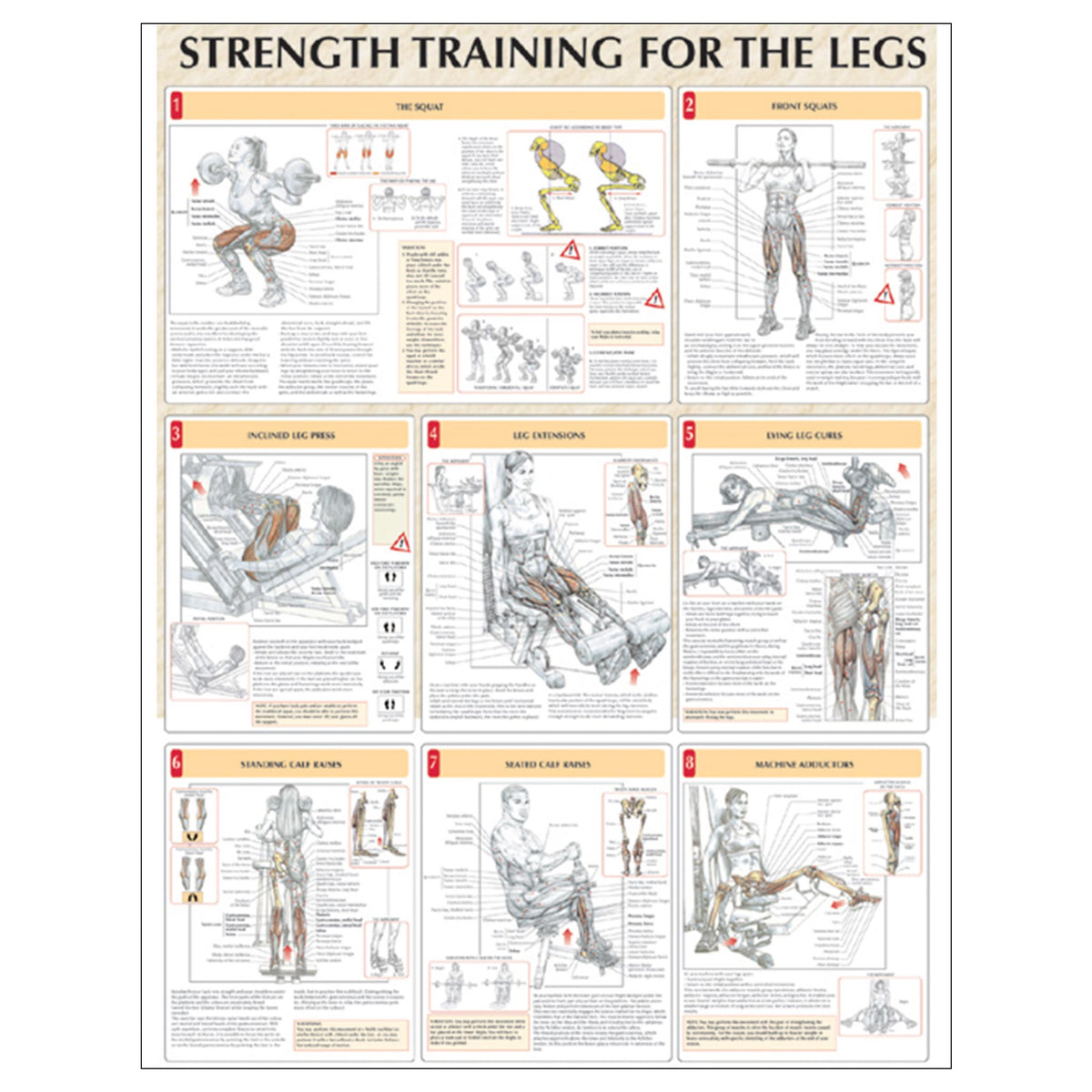 Strength Training for the Legs Poster