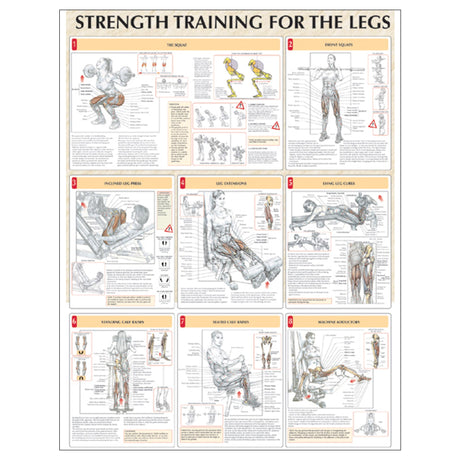 Strength Training for the Legs Poster