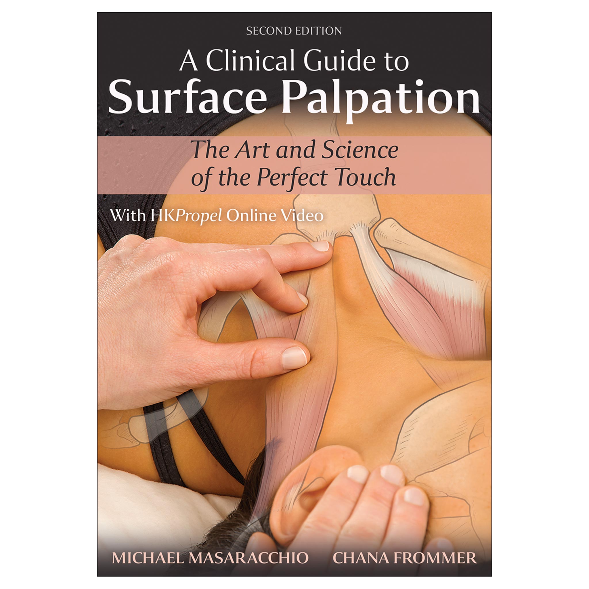 A Clinical Guide to Surface Palpation 2nd Edition epub – Human